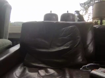 hurry41  06-07-2021 Recorded Video XXX